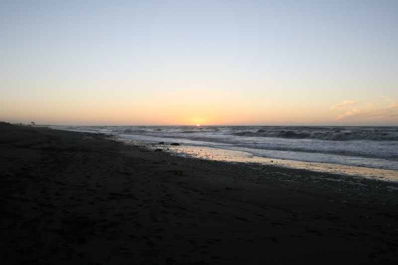 Nieuw-Zeeland 2011 - 1380